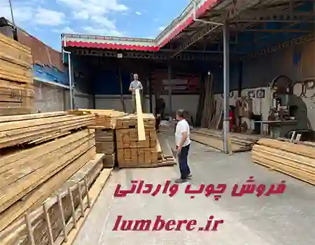 فروش عمده و خرده چوب نراد روسی در هوره